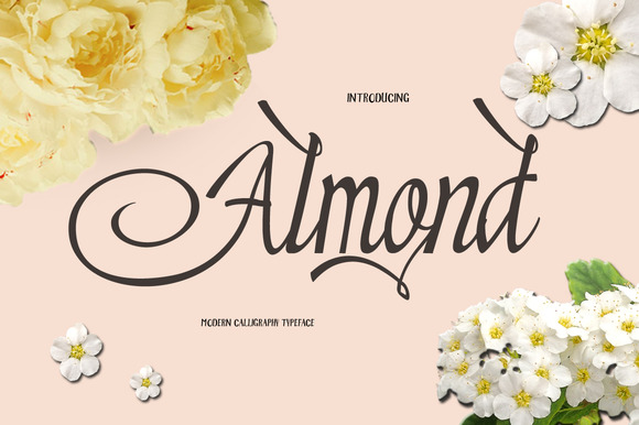 Almond: The Brush Script Font for Modern Design