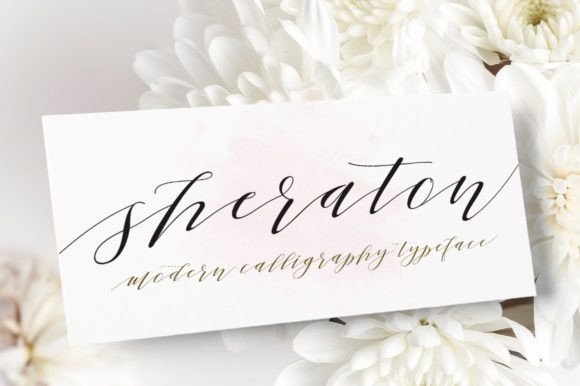 Elevate Your Design with the Sheraton Script Font