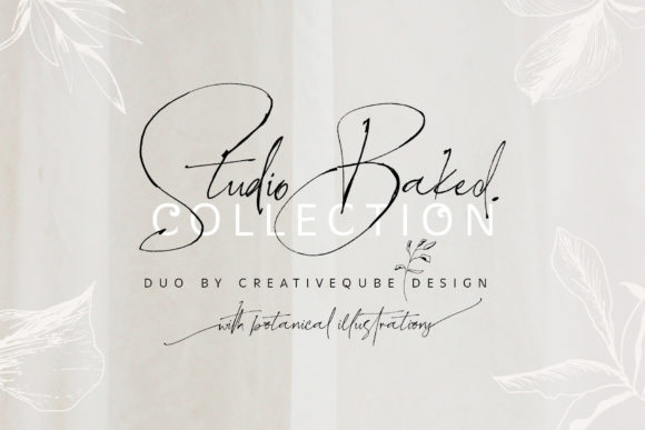 Studio Baked: A Script Font for Modern Design